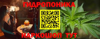 амф Гусев