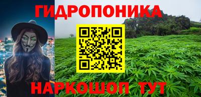 стафф Донской